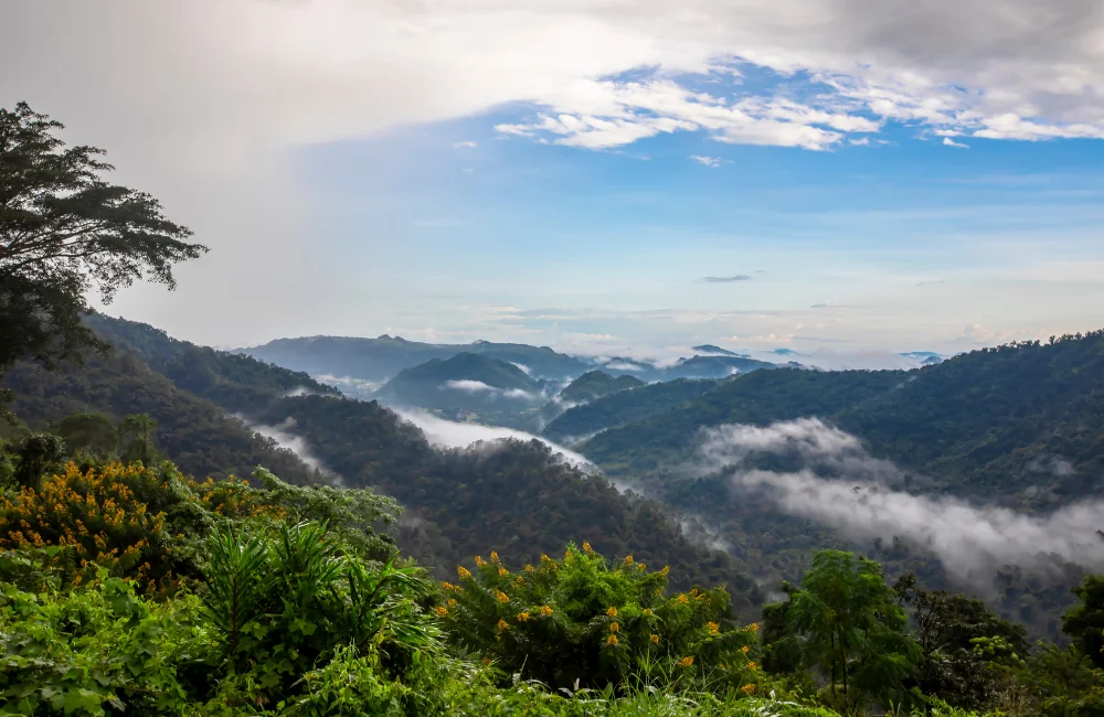 จุดชมวิวเขาใหญ่